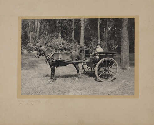 Восемь фотографий из собраний В.Г. Лидина на тему автомобилей